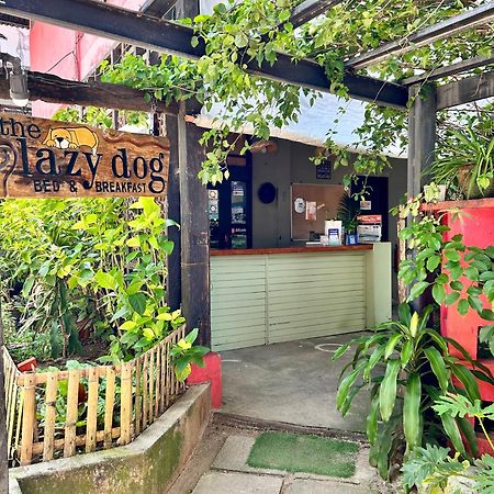 Lazy Dog Bed&Breakfast Balabag  Eksteriør bilde