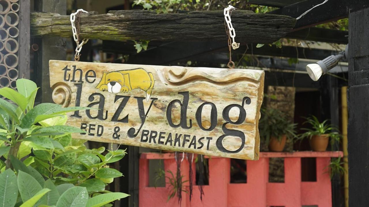 Lazy Dog Bed&Breakfast Balabag  Eksteriør bilde